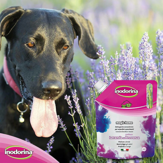 Inodorina Magic Home Lavendel Bodenreiniger 1x1l
