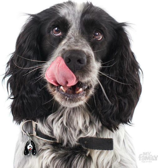 My Family Friends Cocker Schwarz Weiß Hund-Identifikationsmarke Weiß Metall Personalisierung