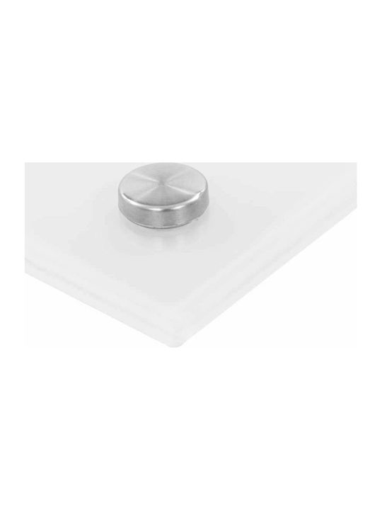 vidaXL Spătar Rectangular din Sticlă în Culoare Albă 80x40cm 249454