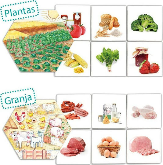 Akros Where Does Food Come From? Εκπαιδευτικό Παιχνίδι Γνώσεων για 3-6 Ετών
