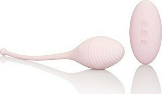Calexotics Vibrating Remote Kegel Exerciser Drahtlos Vaginalbälle mit Vibration Weiß