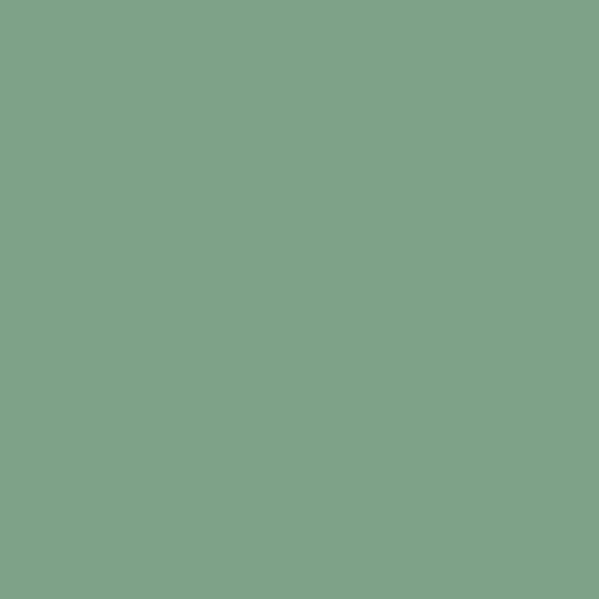 Mondobello Chalk Paint Chalk Paint 375ml Zakynthos/green