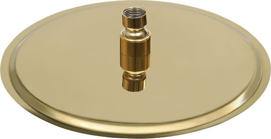 vidaXL Στρογγυλή Κεφαλή Ντουζ 25cm Gold