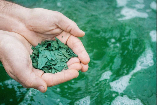 Spirulina Supreme Flakes Refill 25gr