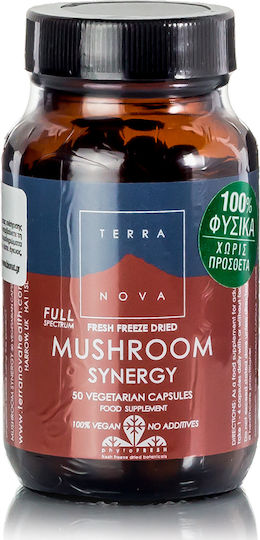 TerraNova Mushroom Synergy 50 Mützen