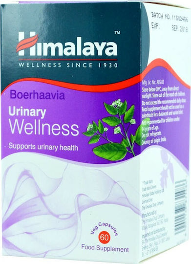 Himalaya Wellness Punarnava Boerhaavia 60 file