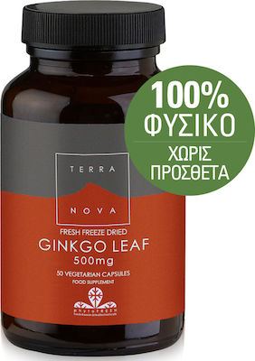 TerraNova Ginkgo Leaf 500mg 50 ταμπλέτες