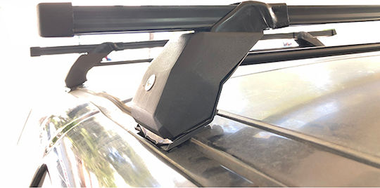Hermes 110cm. für Toyota RAV 4 (mit Dachträgerfüßen)