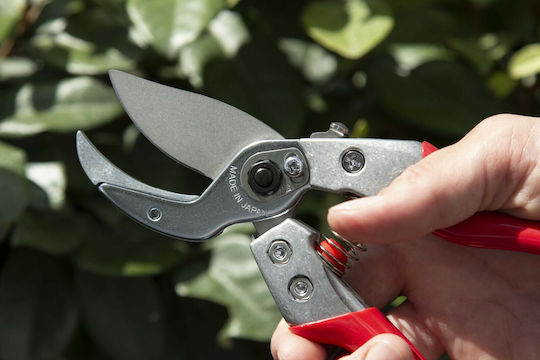 Ars Baumschere Länge 20.5cm