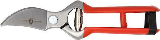 Paolucci Coltellerie 356 Traubenschere Länge 23cm