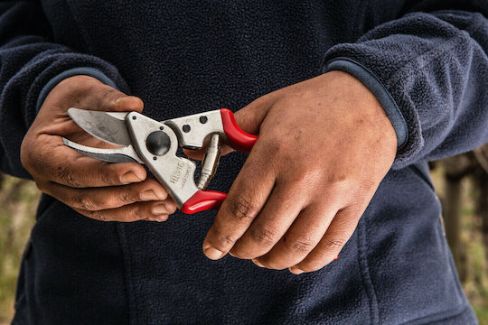 Felco 16 Ψαλίδι Κλαδέματος Μήκους 19.5cm