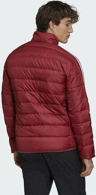 liko Leidimas Kažkada gh4595 - luxuryloghomescolorado.com