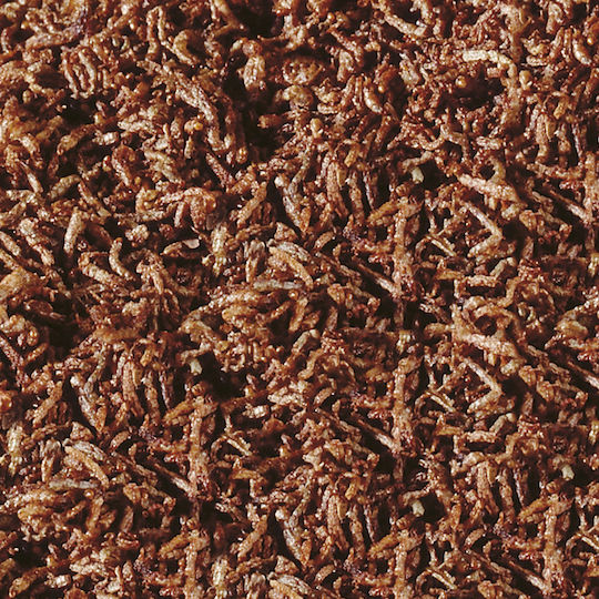 Sera Fd Bloodworms Bottom Fish Food 100ml