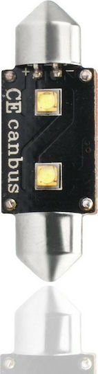 M-Tech Лампи Автомобила C5W / C10W 41mm Canbus LED Бял 12V 6W 1бр