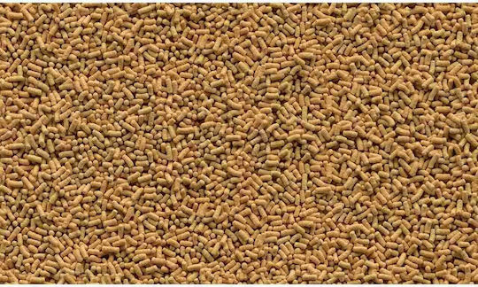 Tetra Pond Sticks Freshwater Fish Food Sticks 10000ml 1200gr