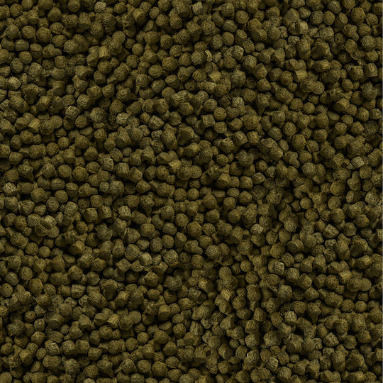 Sera Colour Medium Fischfutter für Fische mit Spirulina 1000ml