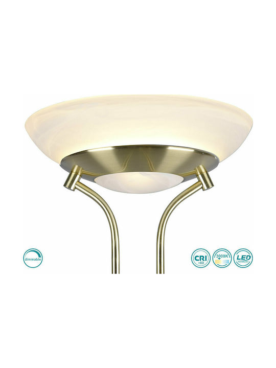 Trio Lighting Orson LED Подова Лампа В180xД32см. 2700лм Златист