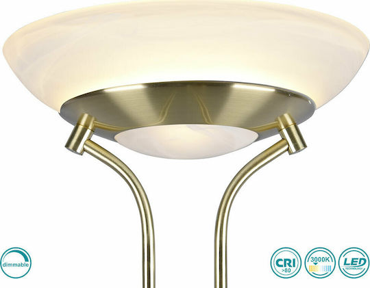Trio Lighting Orson LED Подова Лампа В180xД32см. 2700лм Златист