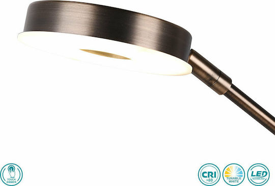 Trio Lighting 4242103 Trio Lighting 4242103