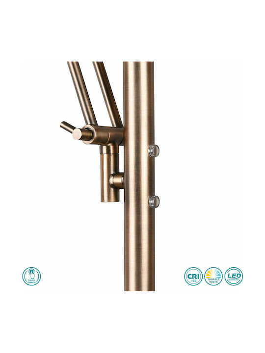 Trio Lighting Barrie Vintage LED Floor Lamp H181xW30cm. with Adjustable White Light 4000lm Bronze