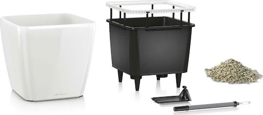 Lechuza Quadro LS 35 Lechuza Quadro LS 35