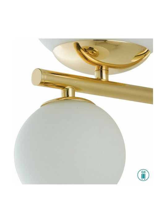 Fan Europe Hera Lamp Wall Gold 10x15cm Fan Europe Hera Lamp Wall Gold 10x15cm