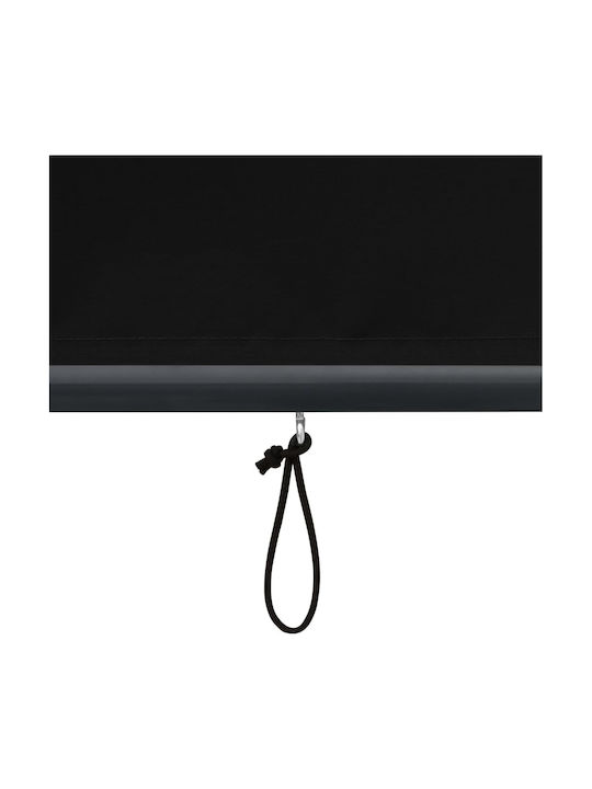 vidaXL Rulou lateral de umbrire Terasă Cărbune de lemn x2.5m