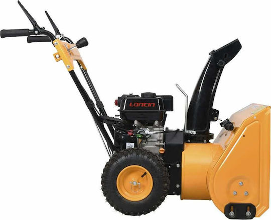 vidaXL Benzinbetriebener Schneefräse 6.5hp