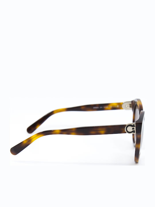 Salvatore Ferragamo Women's Sunglasses with Brown Tartaruga Plastic Frame