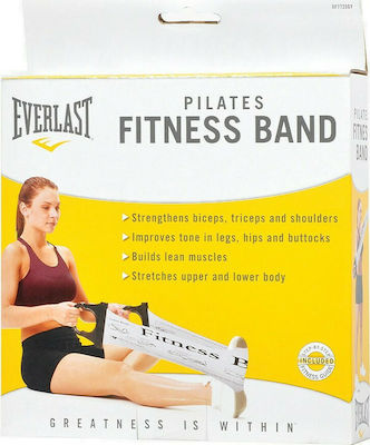 Everlast Resistance Band with Handles Gray