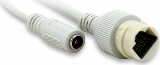 Level One FCS-3073 IP Überwachungskamera Full HD 1080p Wasserdicht mit Objektiv 6mm