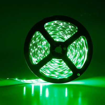 Adeleq LED Streifen Versorgung 24V mit Grün Licht Länge 5m und 60 LED pro Meter SMD5050