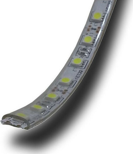 V-TAC Αδιάβροχη Ταινία LED 12V Θερμό Λευκό Φως 5m Τύπου SMD5050