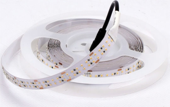 V-TAC LED Strip 24V Cold White Light 5m Type SMD2216