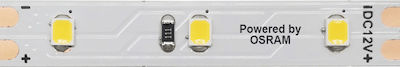 Aca Bandă LED Alimentare 24V cu Lumină Alb Cald Lungime 5m și 60 LED-uri pe Metru SMD2835