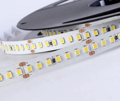 Aca Waterproof LED Strip Power Supply 24V with Natural White Light Length 5m and 120 LEDs per Meter SMD2835