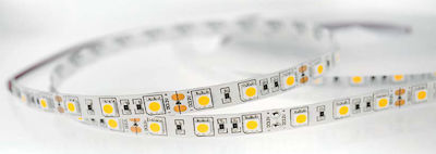Lucas Bandă LED Alimentare 12V cu Lumină Alb Natural Lungime 5m și 60 LED-uri pe Metru SMD5050