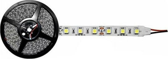 Atman Ταινία LED 12V RGBW Φως 5m Τύπου SMD5050