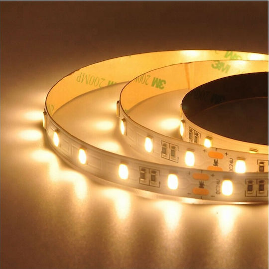 Atman Waterproof LED Strip 12V Natural White Light 5m Type SMD5630