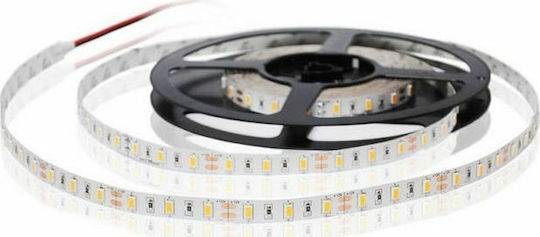 Atman Ταινία LED 24V Κίτρινο Φως 5m Τύπου SMD5050