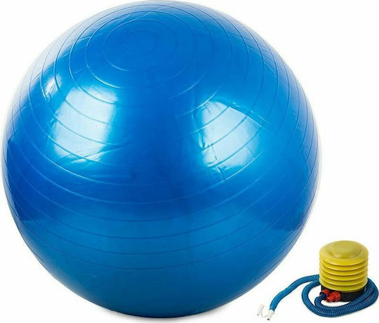 14172 Balls Pilates 65cm in Blue Color