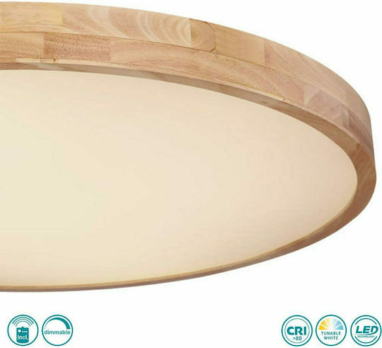 Globo Lighting Rainer Panou LED În Aer Liber 80 cm Globo Lighting Rainer Panou LED În Aer Liber 80 cm