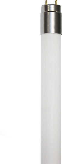 Aca LED-Lampe 9W Röhrenform 60εκ. für Fassung G13 und Form T8 Kühles Weiß 900lm