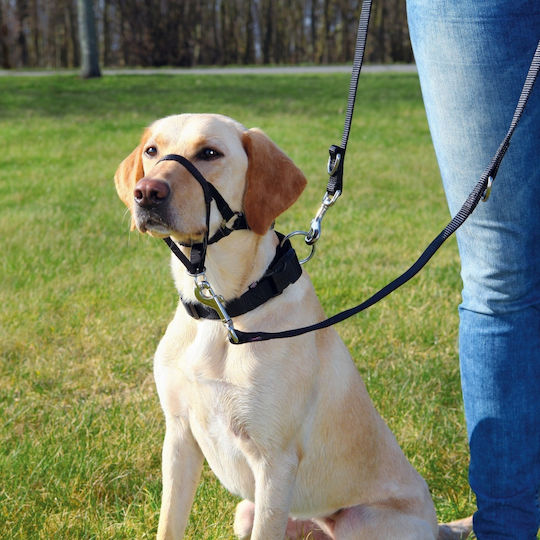 Trixie Training Dog Muzzle with Neck Strap Medium 27cm