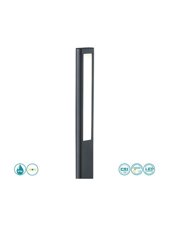 Trio Lighting Rhine Kölni Κleine Post LED 5,5W 15,5x7,5cm Trio Lighting Rhine Kölni Κleine Post LED 5,5W 15,5x7,5cm