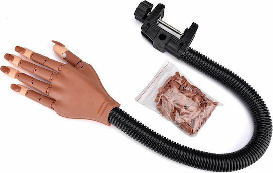 Educational Hand for Aesthetics