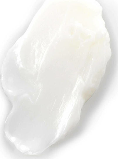 Philip B Leichte Deep Conditioner Hydratation Für Alle Haartypen 60ml
