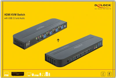 DeLock KVM & Data Switch