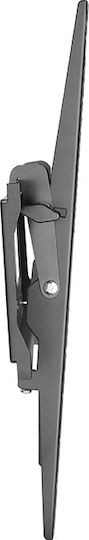 ESpace NXT-550 Wall TV Mount up to 55" and 50kg