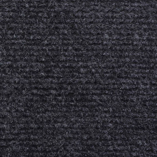 vidaXL with Stripe Anthracite Corridor / Carpet 2000cm x 160cm 287670